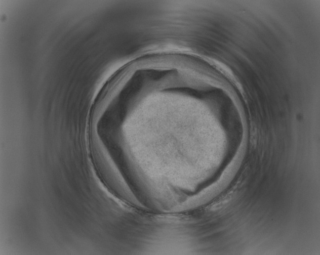 X0000062610863200601111007