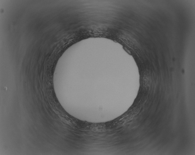 X0000062610865200601111006