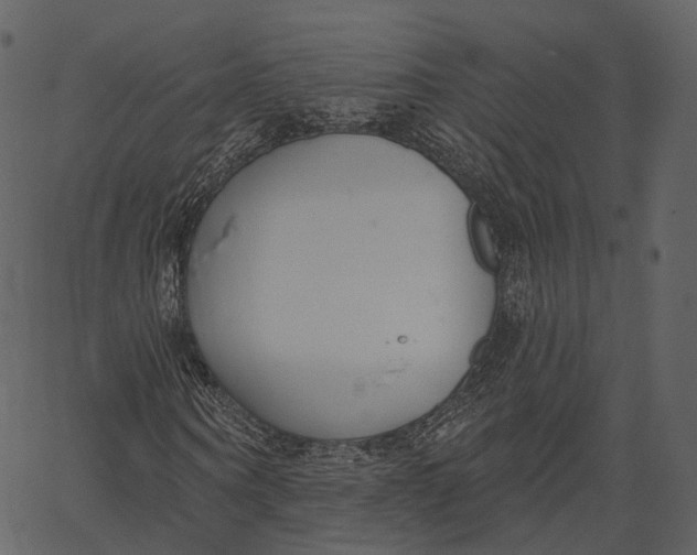 X0000062610866200601111006