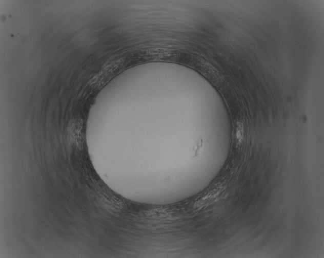 X0000062610867200601111006