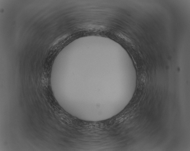 X0000062610869200601111006