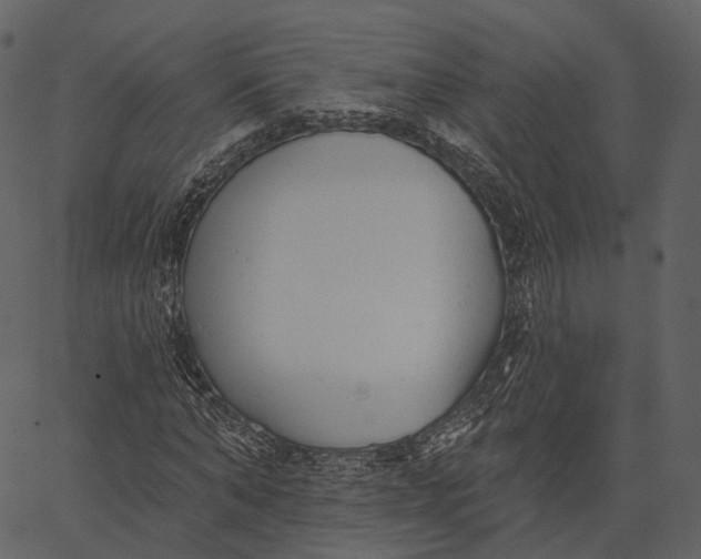 X0000062610870200601111006