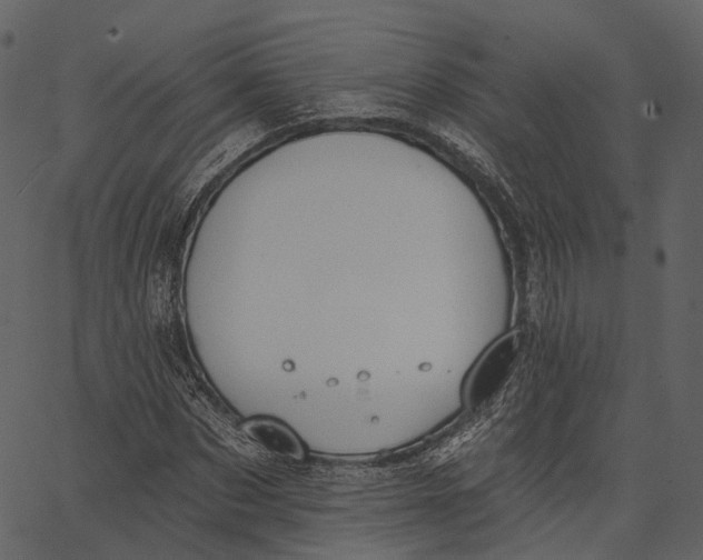 X0000062610873200601111006