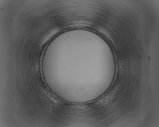 X0000062610874200601111006