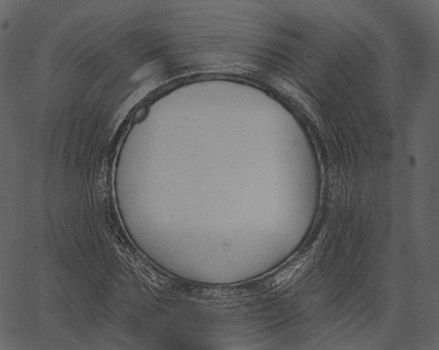 X0000062610875200601111006