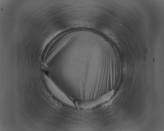 X0000062610877200601111006