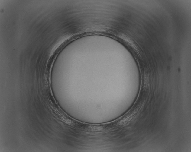 X0000062610878200601111006