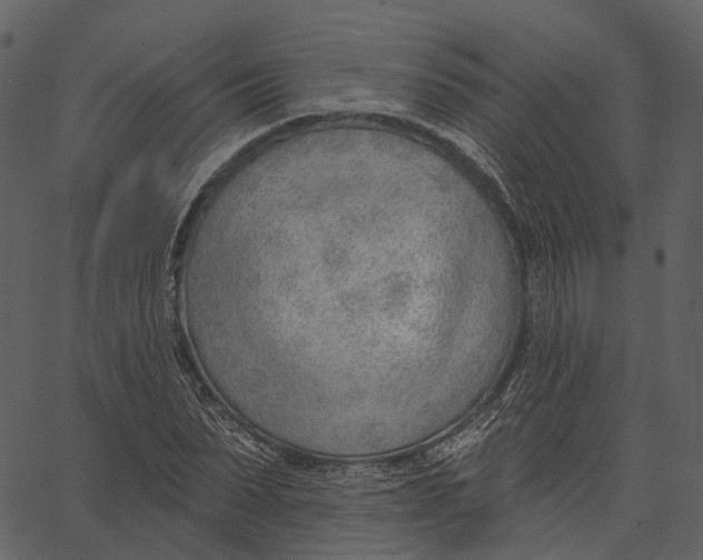 X0000062610879200601111006