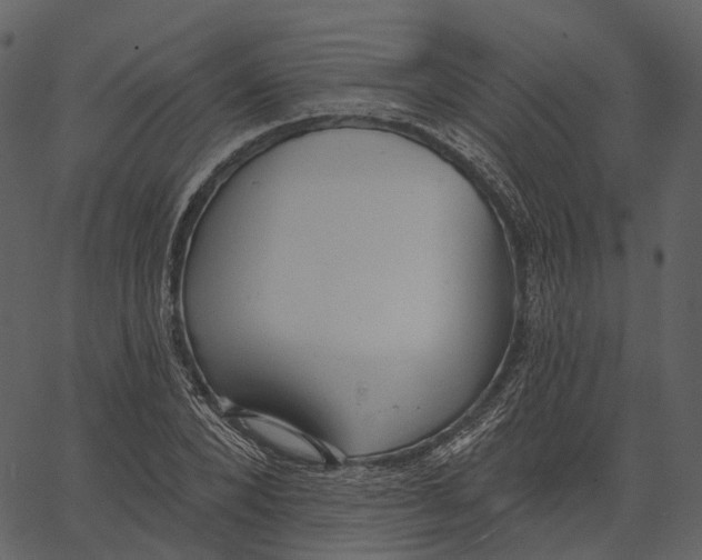 X0000062610880200601111006