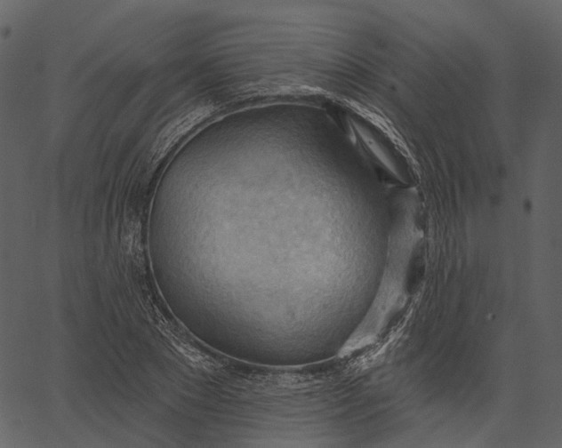 X0000062610881200601111006