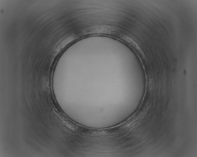 X0000062610882200601111006