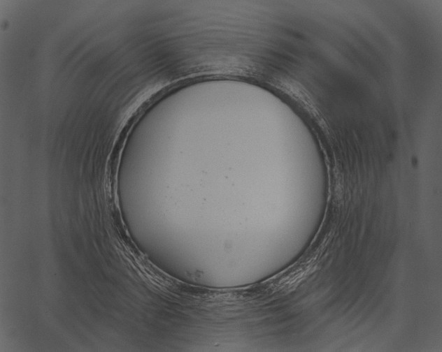 X0000062610883200601111006