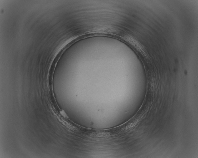 X0000062610884200601111006