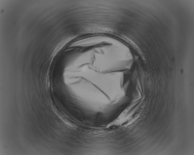 X0000062610885200601111005