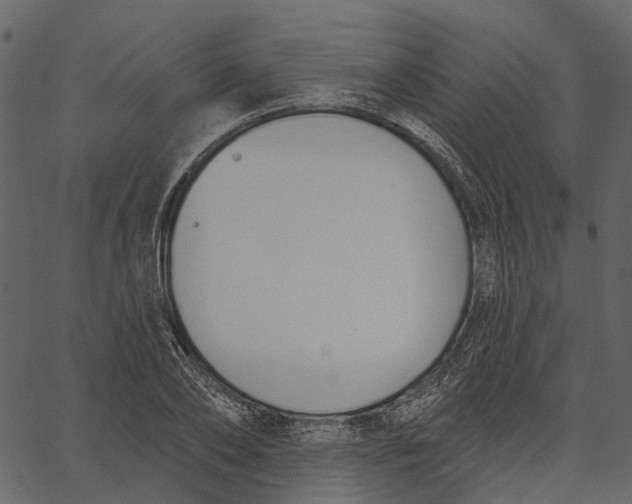 X0000062610886200601111005