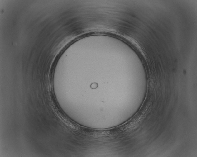 X0000062610887200601111005