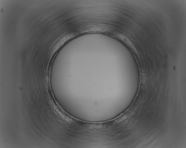 X0000062610890200601111005