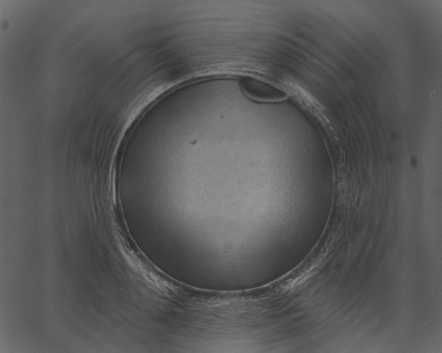 X0000062610892200601111005