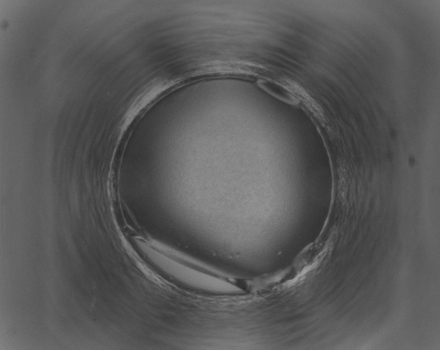 X0000062610893200601111005