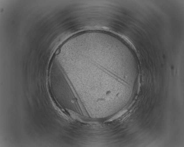 X0000062610895200601111005