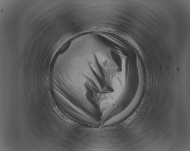 X0000062610896200601111005