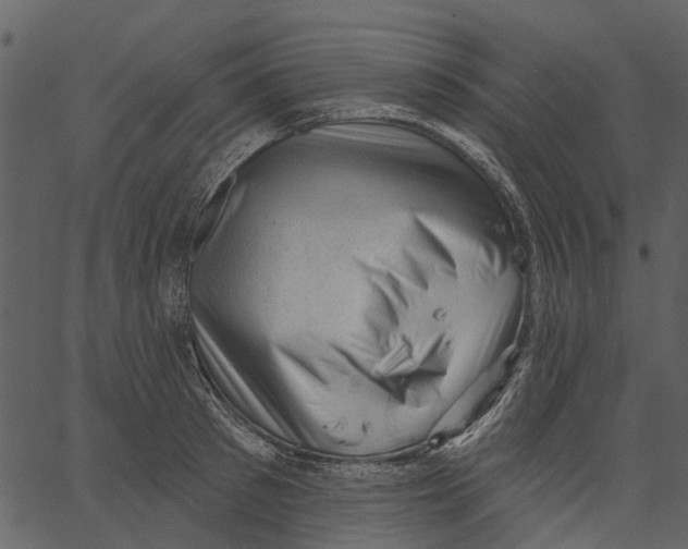 X0000062610897200601111005