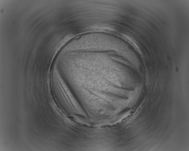 X0000062610899200601111005