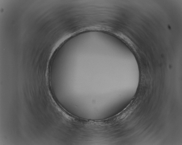 X0000062610902200601111005