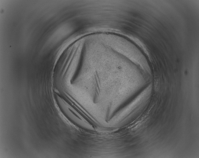 X0000062610903200601111005