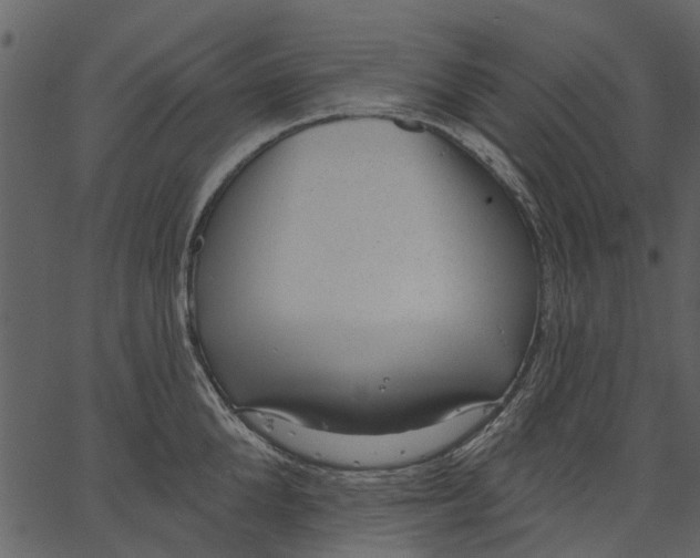 X0000062610904200601111005