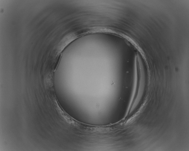 X0000062610905200601111005