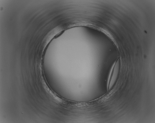 X0000062610906200601111005