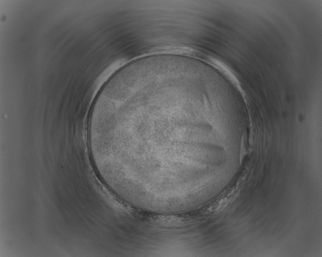 X0000062610907200601111005