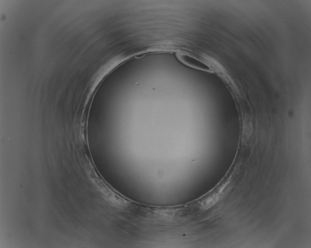 X0000062610908200601111005