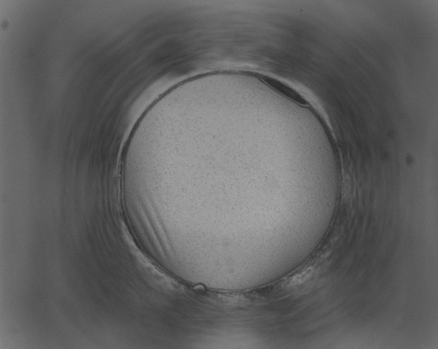 X0000062610911200601111005