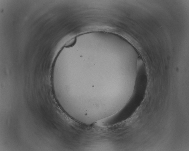 X0000062610912200601111005