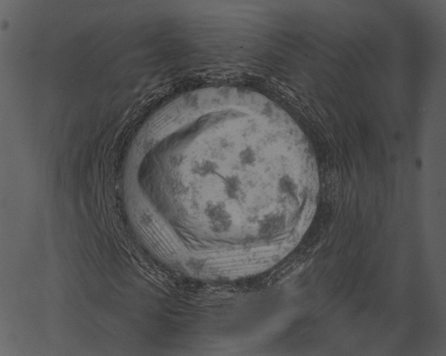 X0000062610913200601111004