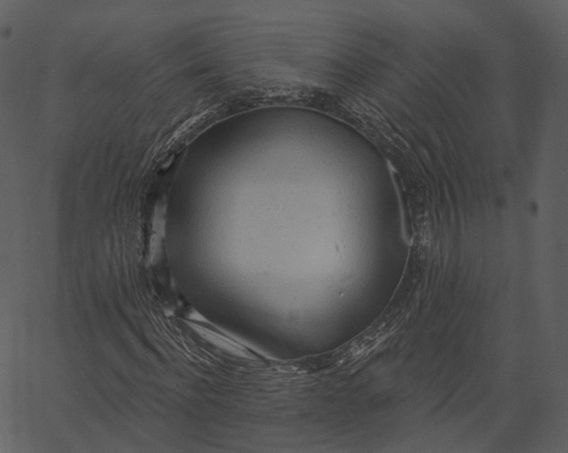 X0000062610916200601111004