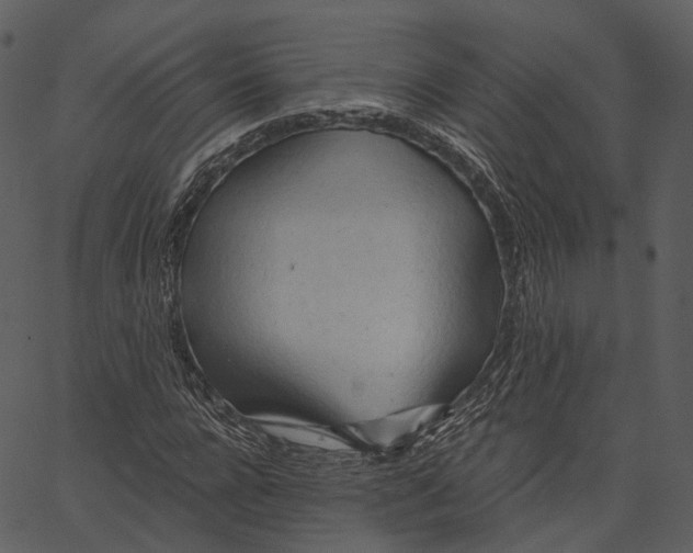 X0000062610920200601111004