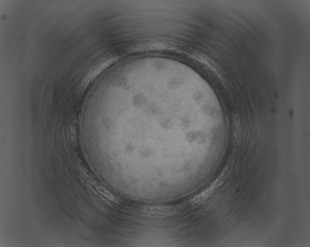 X0000062610921200601111004