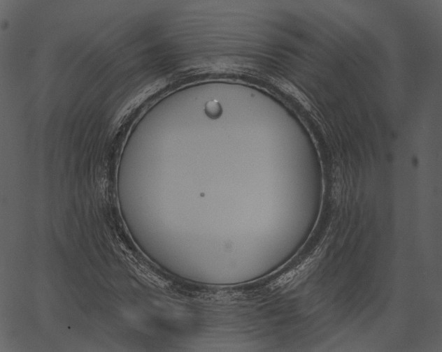 X0000062610922200601111004