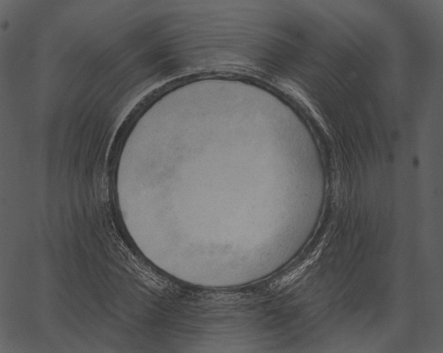 X0000062610924200601111004