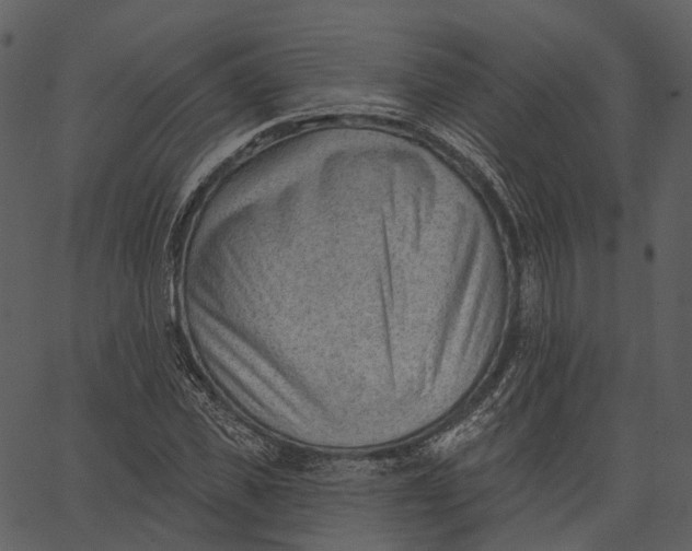 X0000062610925200601111004