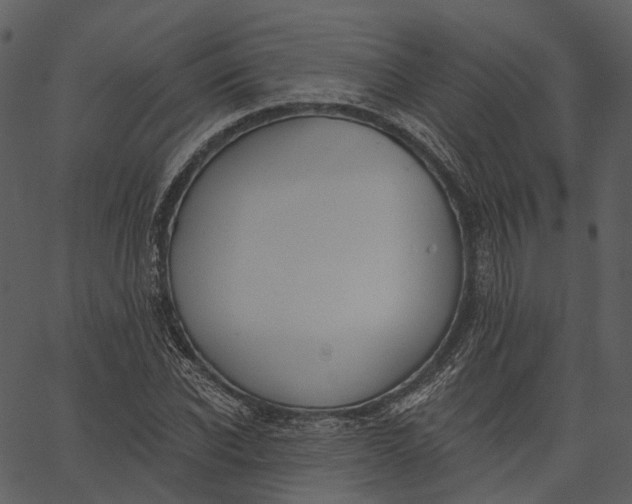 X0000062610926200601111004