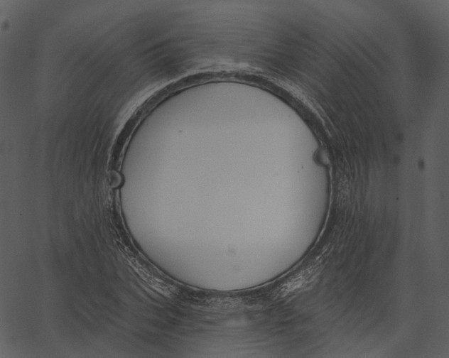 X0000062610927200601111004