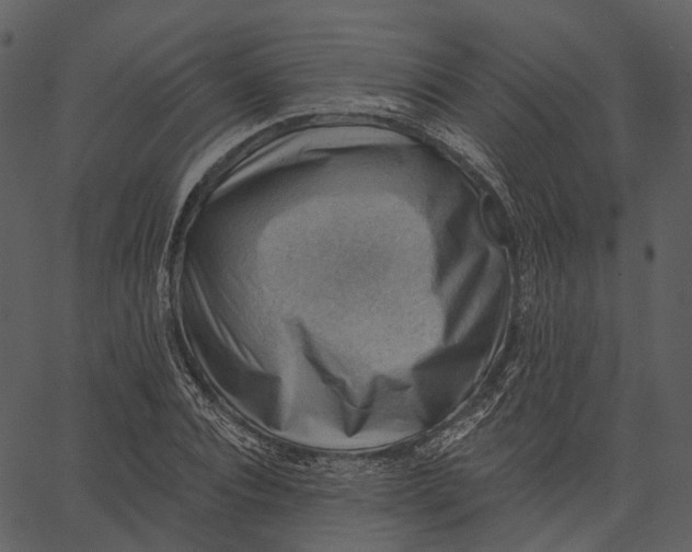 X0000062610928200601111004