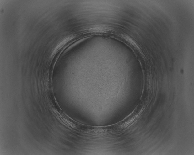 X0000062610930200601111004