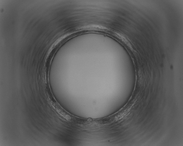 X0000062610931200601111004