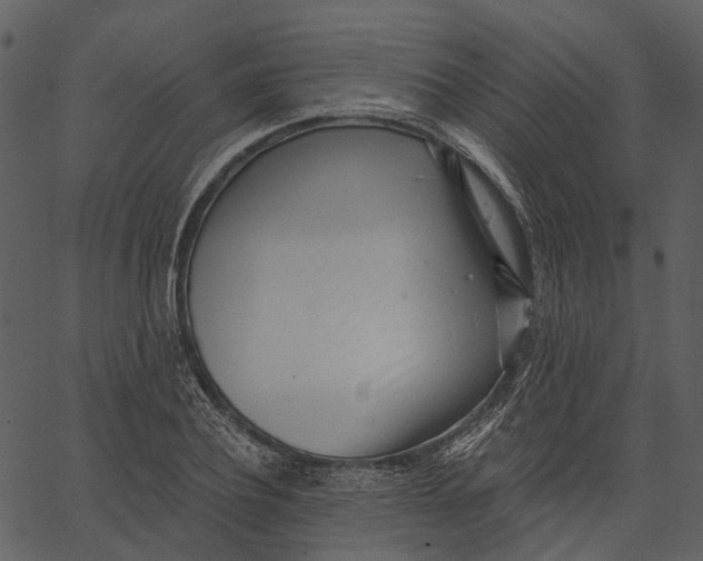 X0000062610932200601111004