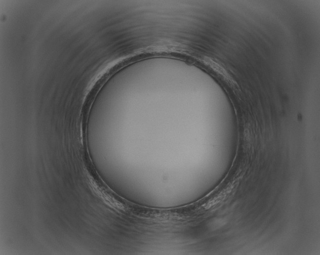 X0000062610934200601111005